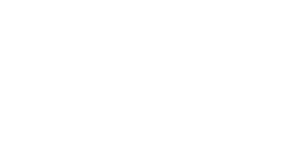 Sudniks Logo